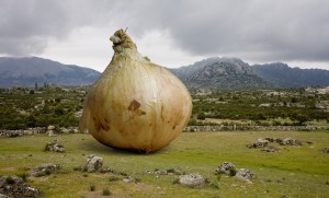 Love is Onion...