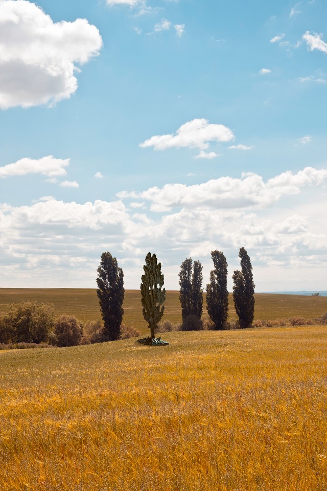 Typical Mediterranean Landscape by Monsanto®