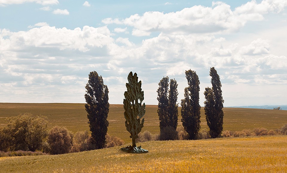 Typical Mediterranean Landscape by Monsanto®