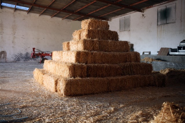 PI. Small StrawPyramid by Juan San Sebastián. 2009