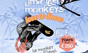 The Smartest Monkeys love to Snow