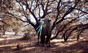 Tauromaquia 01