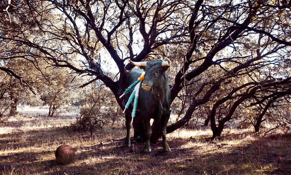 Tauromaquia 01