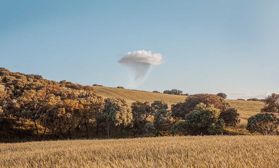 A lone Cloud