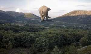 Don´t think about the Elephant